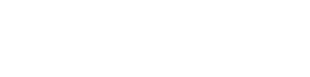 Navy Cargo logo